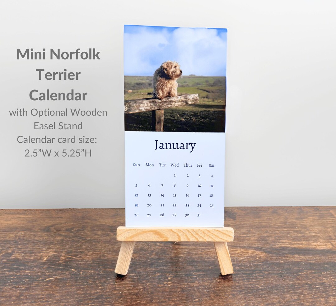 Norfolk Terrier Calendar 2025 Mini Desk Calendar, Calendar 20252026
