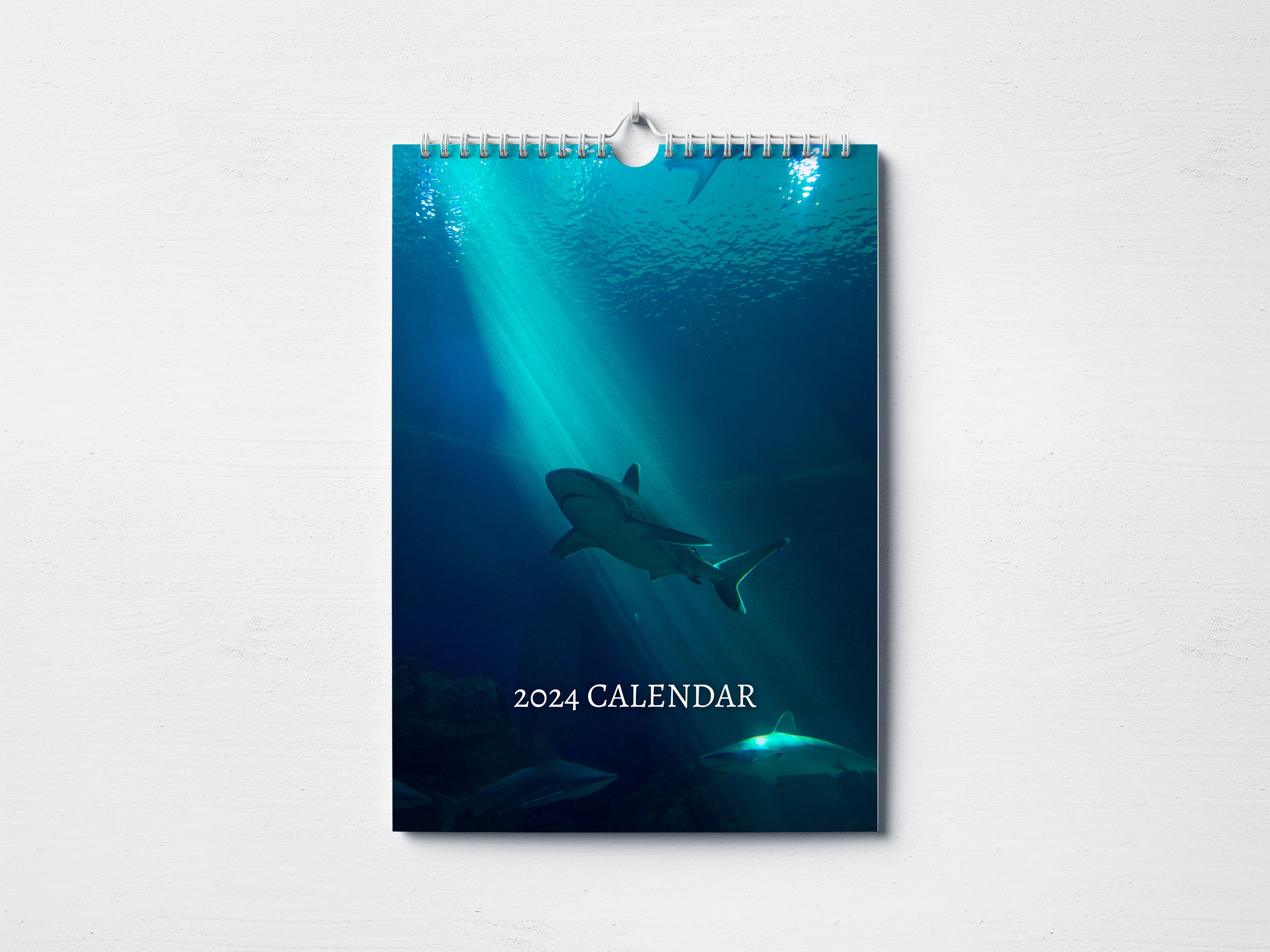 Shark Calendar 2024 Monthly Wall Calendar, A4 Hanging Calendar Perfect