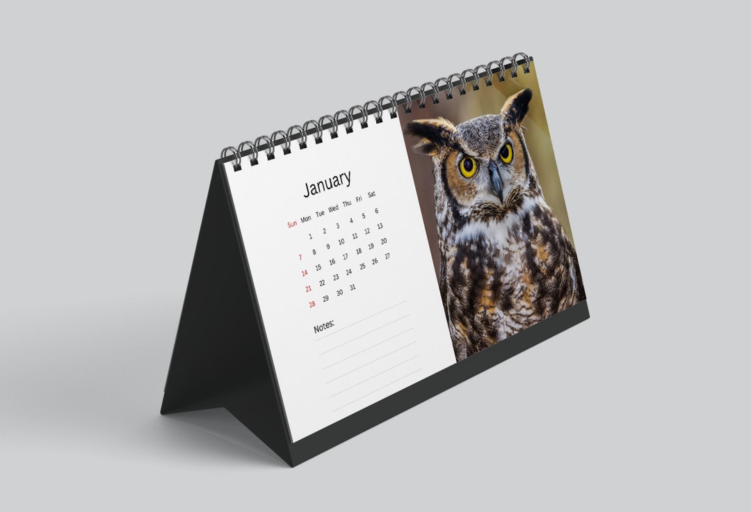 Owl Desk Calendar 2024 Desktop Calendar Owl Calendar 20242025 Perfect