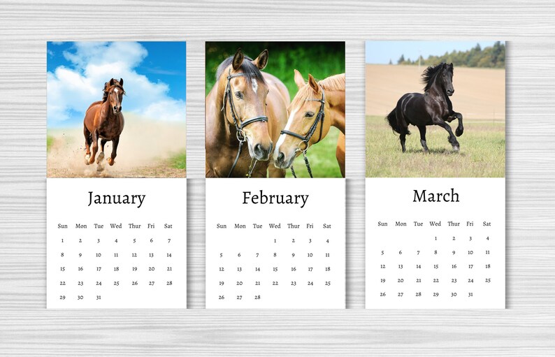 Horse Calendar 2024 Mini Desk Calendar Horse Calendar Etsy