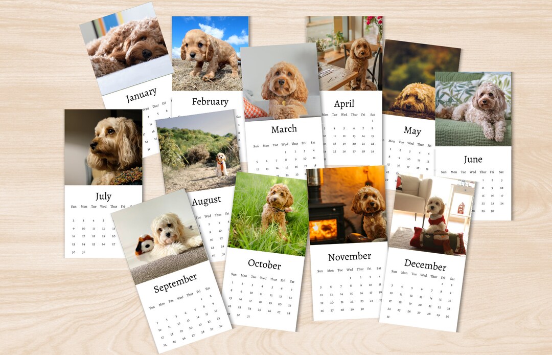 Cavapoo Calendar 2025 Mini Desk Calendar Cavapoo Calendar 20242025