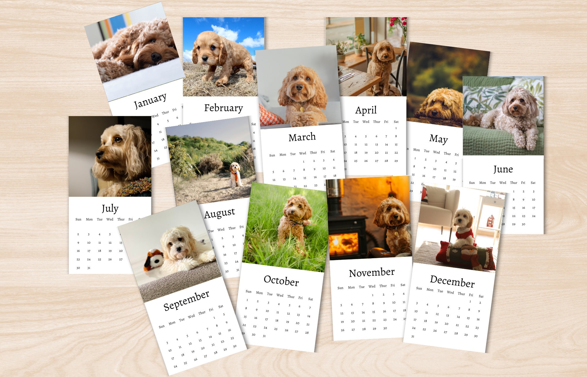 Cavapoo Calendar 2024 Mini Desk Calendar Cavapoo Calendar Etsy Canada