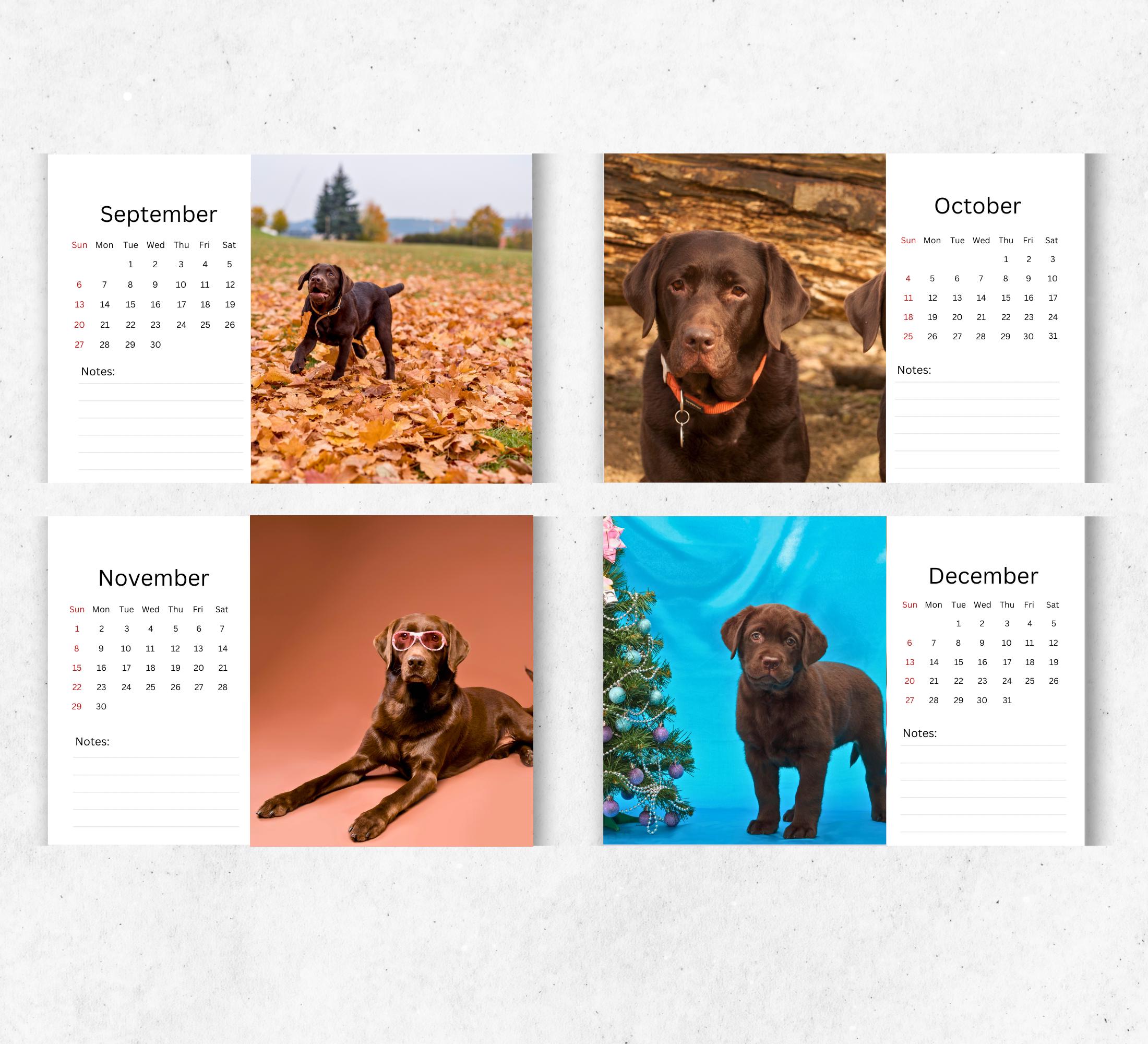 Calendrier De Bureau 2026-2027 Labrador Chocolat - Format A5 (15,25x22 Cm), Papier épais 240 G/m², Fait Main Au UK