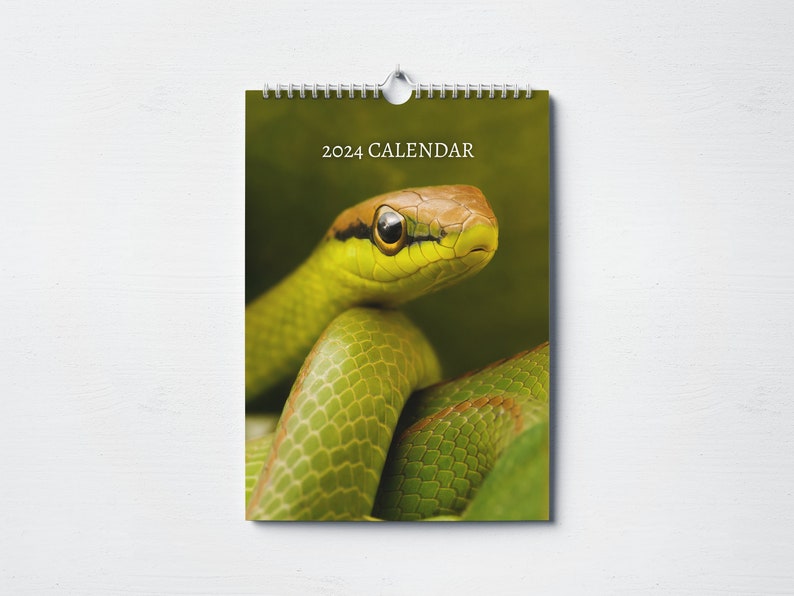 Snake Calendar 2024 Monthly Wall Calendar A4 Hanging Etsy