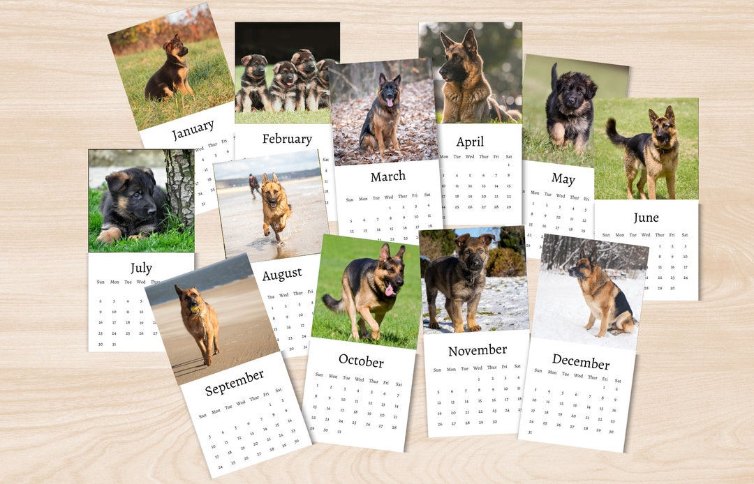 German Shepherd Calendar 2024 Mini Desk Calendar German Shepherd