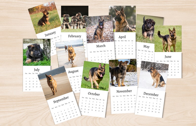 German Shepherd Calendar 2024 Mini Desk Calendar German Etsy UK