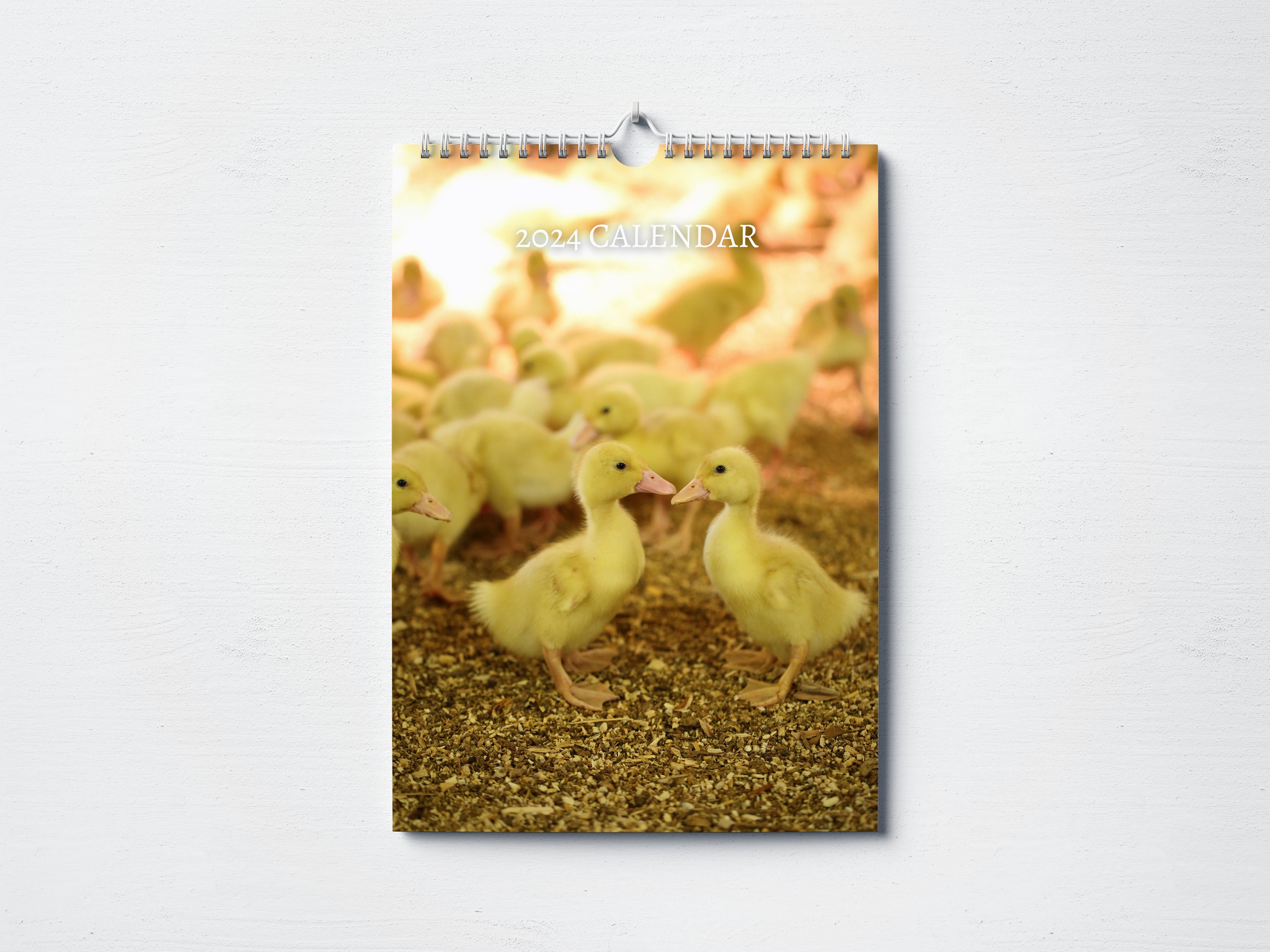 Duck Calendar 2024 Monthly Wall Calendar, A4 Size Hanging Calendar
