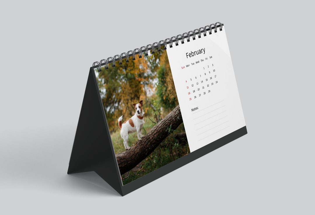 Jack Russell Desk Calendar 2024 Desktop Calendar Jack Etsy