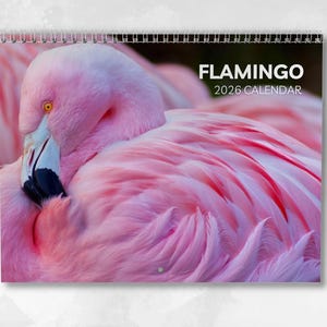 Flamingo Calendar 2026: Monthly Wall Calendar with Notes, opens to A3 Size, Includes key dates & holidays