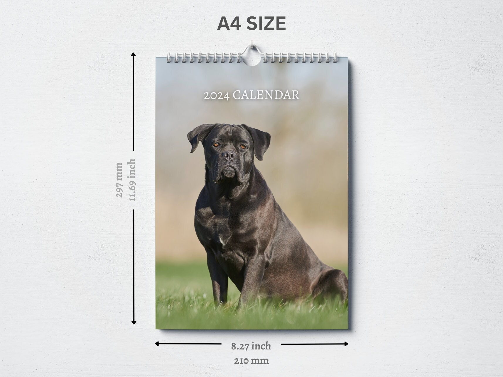 Cane Corso Calendar 2024 Monthly Wall Calendar A4 Size Etsy UK