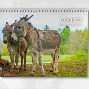 May include: A 2026 calendar with a spiral binding, showing two donkeys in a field. The donkeys have brown fur and are set against a backdrop of trees and sky. The calendar's title reads "DONKEY 2026 CALENDAR" in white text.