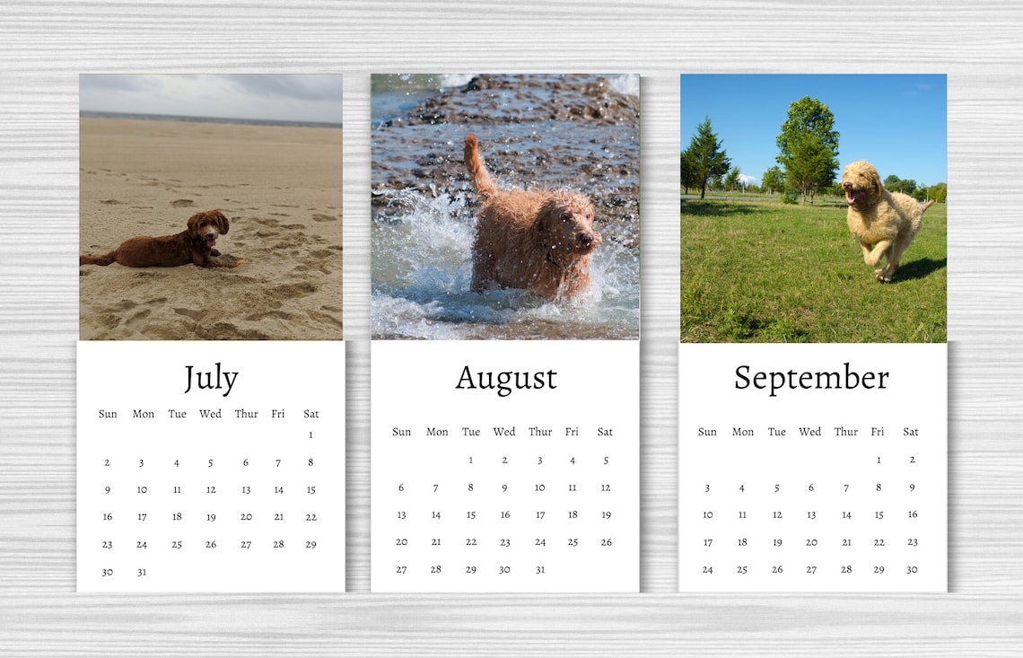 Labradoodle Calendar 2024 / Mini calendario de escritorio / Etsy España