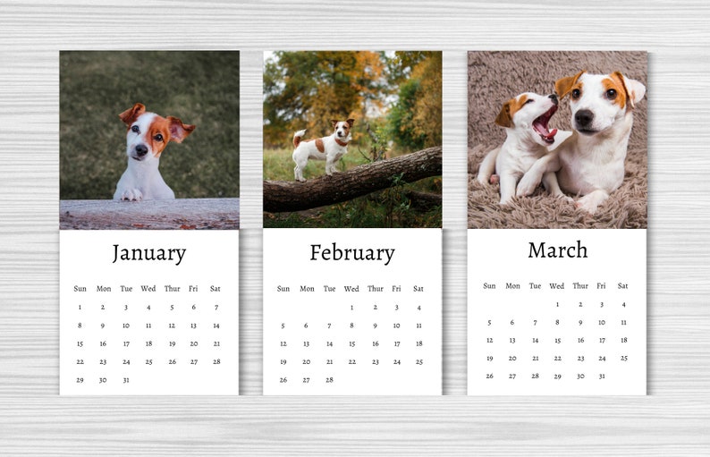 Jack Russell Calendar 2024 Mini Desk Calendar Jack Russell Etsy