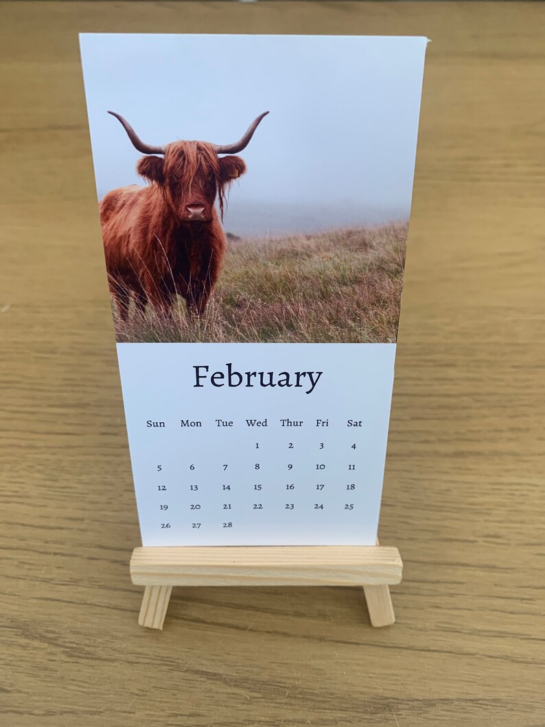 Highland Cow Calendar 2023 Mini Desk Calendar Highland Cow - Etsy Canada