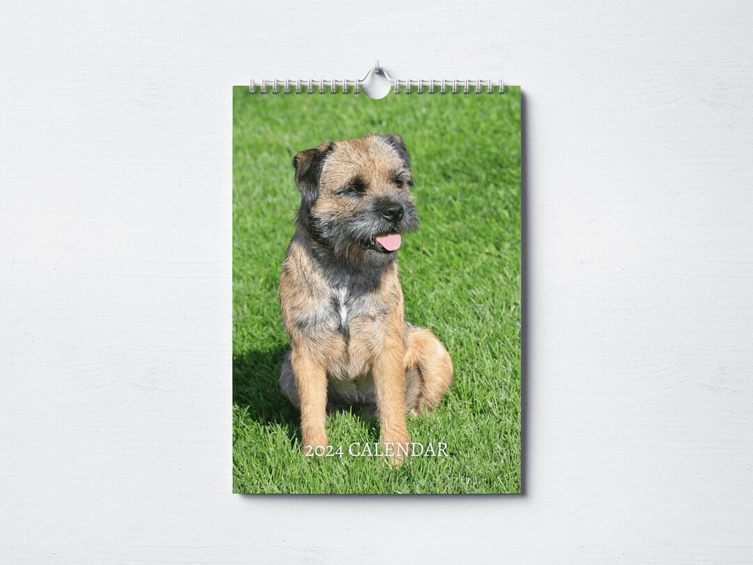 Border Terrier Calendar 2024 Monthly Wall Calendar, A4 Size Hanging