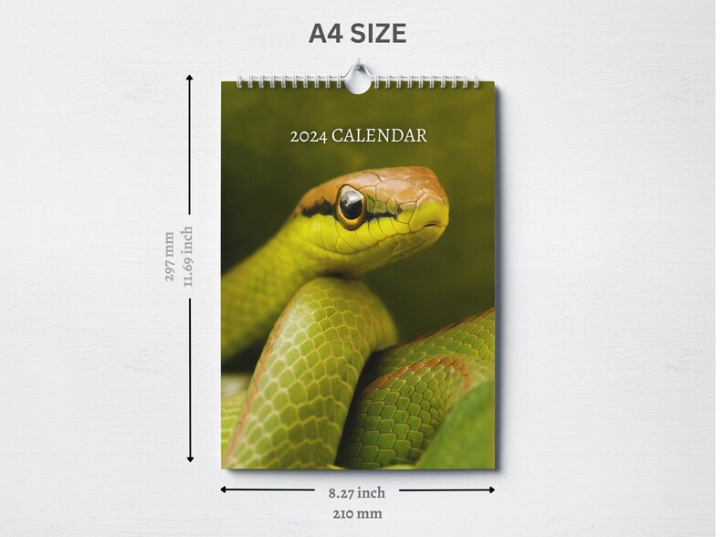 Snake Calendar 2025 Monthly Wall Calendar A4 Hanging Etsy