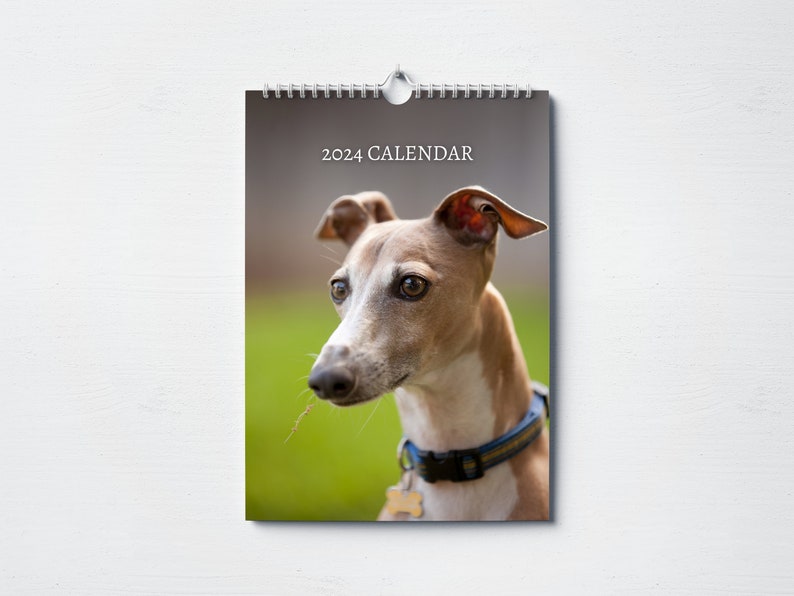 Italian Greyhound Calendar 2024 Monthly Wall Calendar A4 Etsy UK