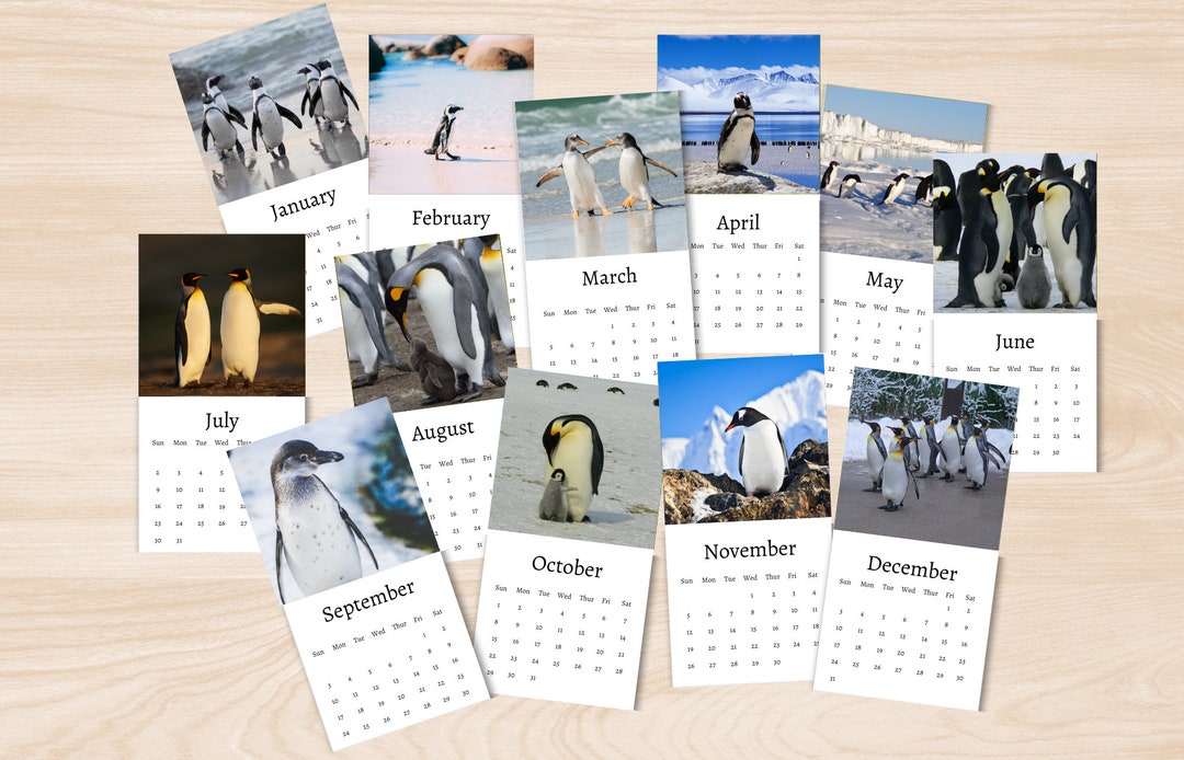 Penguin Calendar 2025 Mini Desk Calendar Penguin Calendar 20242025