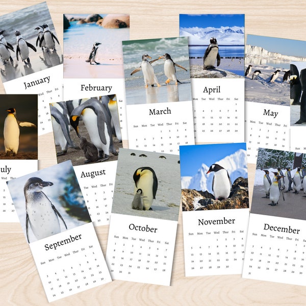 Penguin Calendar 2024 | Mini desk calendar |  Penguin Calendar 2024-2025 | Perfect gift for stocking fillers and Penguin lovers