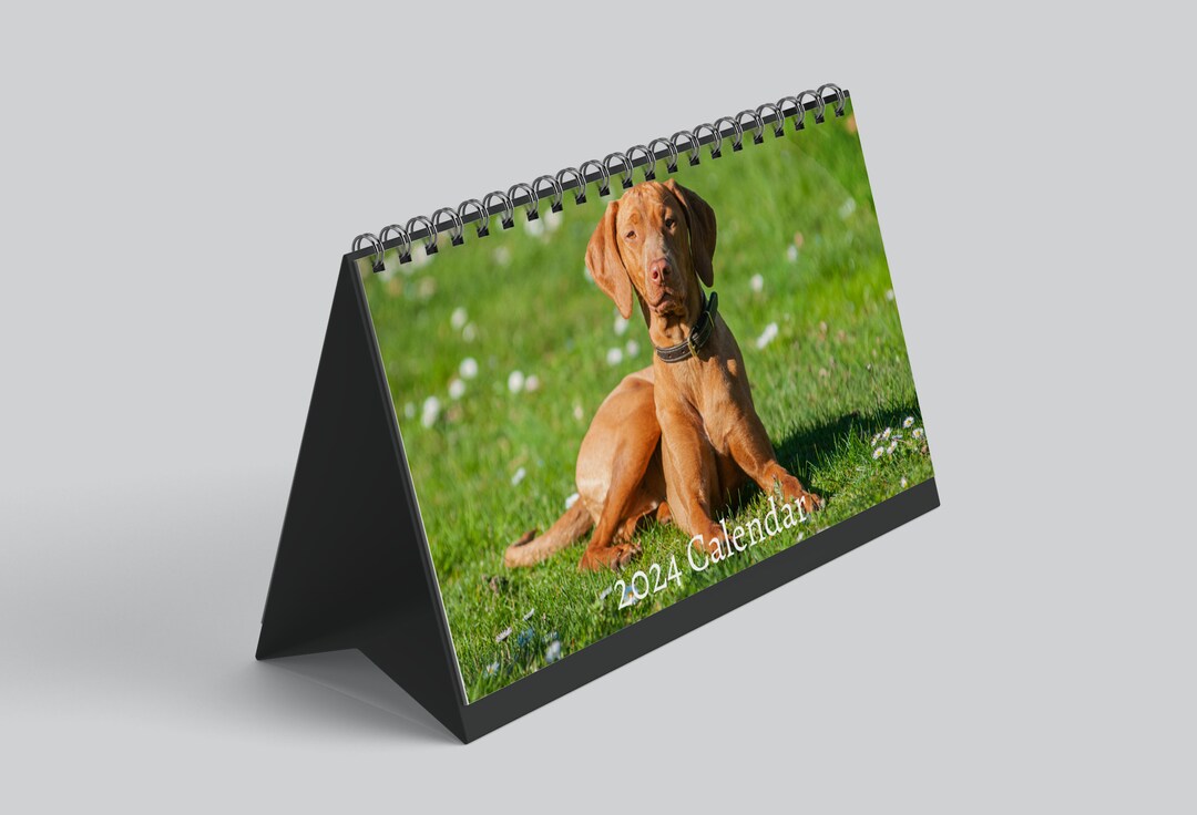 Hungarian Vizsla Desk Calendar 2025 Desktop Calendar Hungarian Vizsla