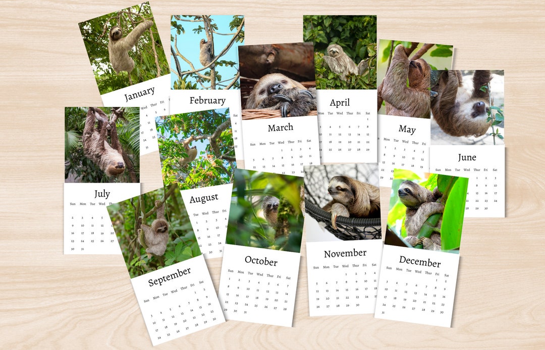 Sloth Calendar 2025 Mini Desk Calendar Sloth Calendar Etsy