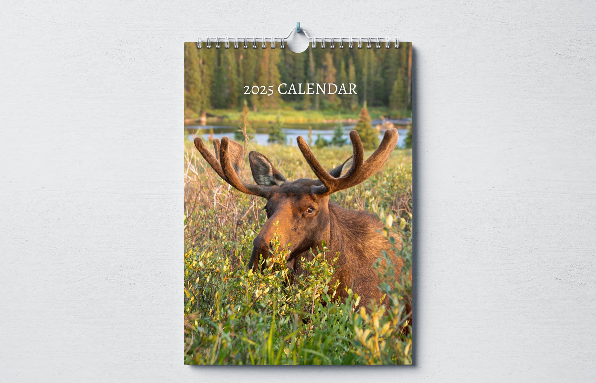 Moose Calendar 2025: Monthly Wall Calendar With Notes, Hanging A4 Size, Includes Key UK & US Dates and Holidays - Etsy