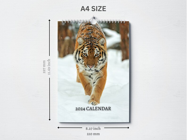 Tiger Calendar 2024 Monthly Wall Calendar A4 Hanging Etsy