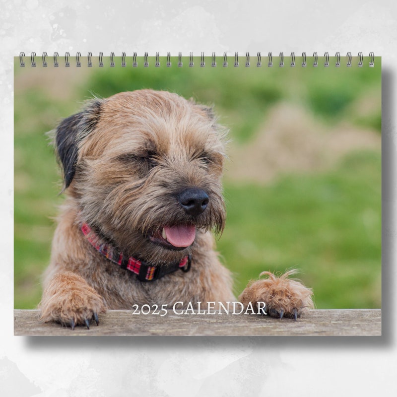 Border Terrier Etsy