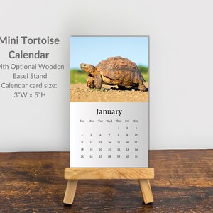 May include: A mini tortoise calendar with a wooden easel stand. The calendar card size is 7.6cm W x 12.7cm H. The January page features a tortoise in its natural habitat. The calendar is displayed on a small wooden easel.