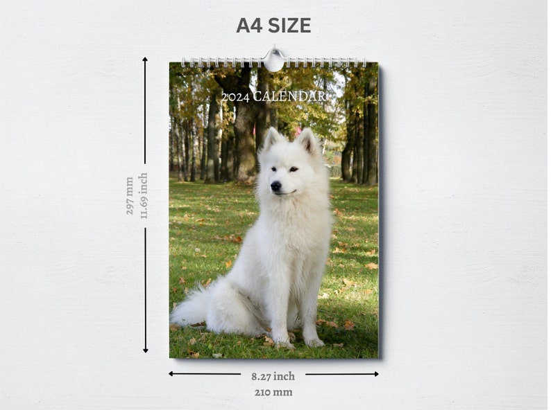 Samoyed Calendar 2024 Monthly Wall Calendar A4 Hanging - Etsy UK