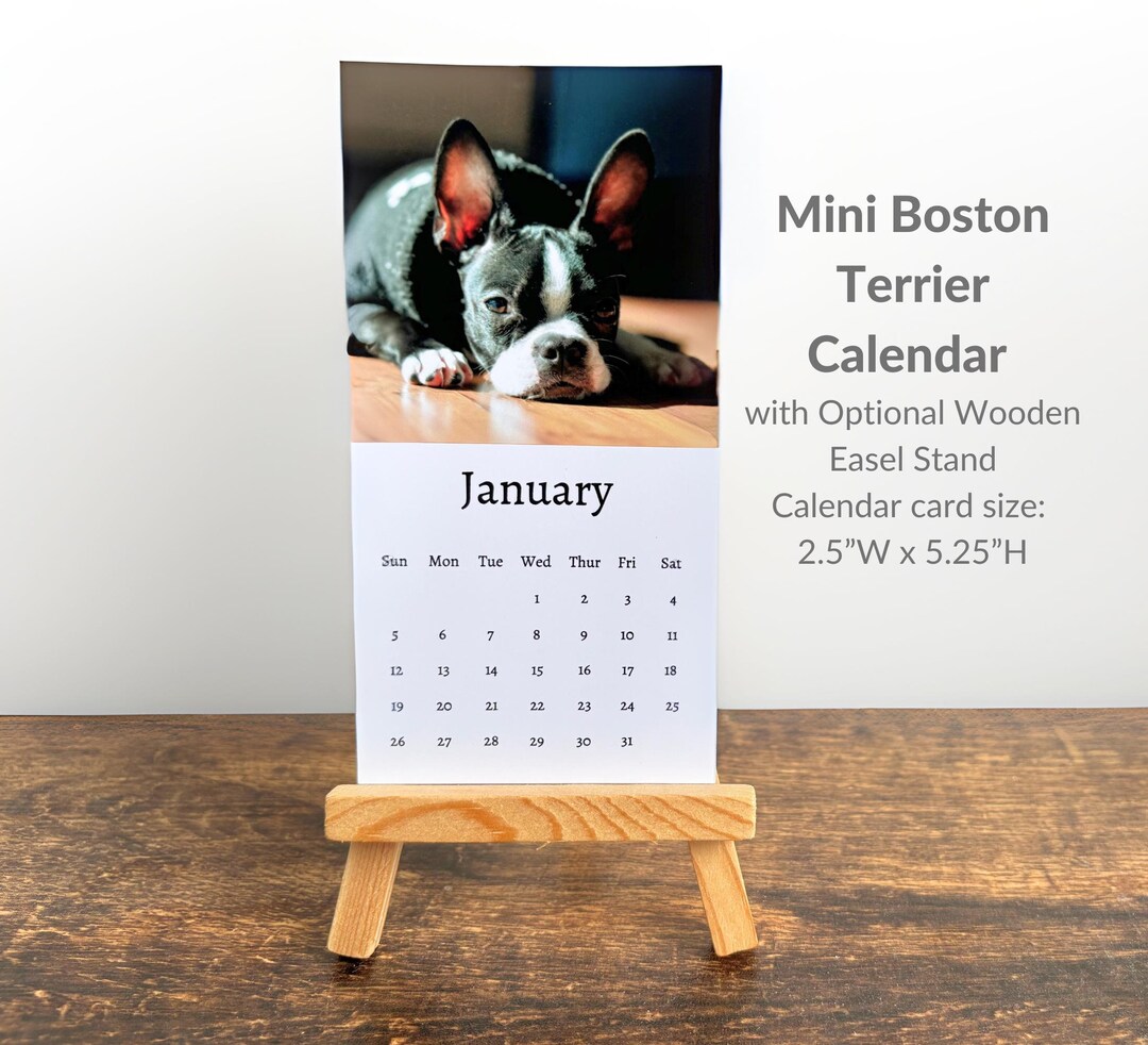 Boston Terrier Calendar 2025 Mini Desk Calendar, Calendar 20252026