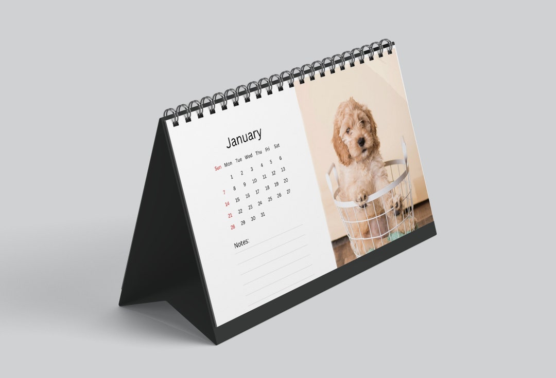 Cockapoo Desk Calendar 2025 Desktop Calendar Cockapoo Calendar 2025