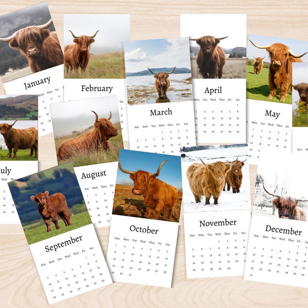 Highland Cattle Calendar Etsy