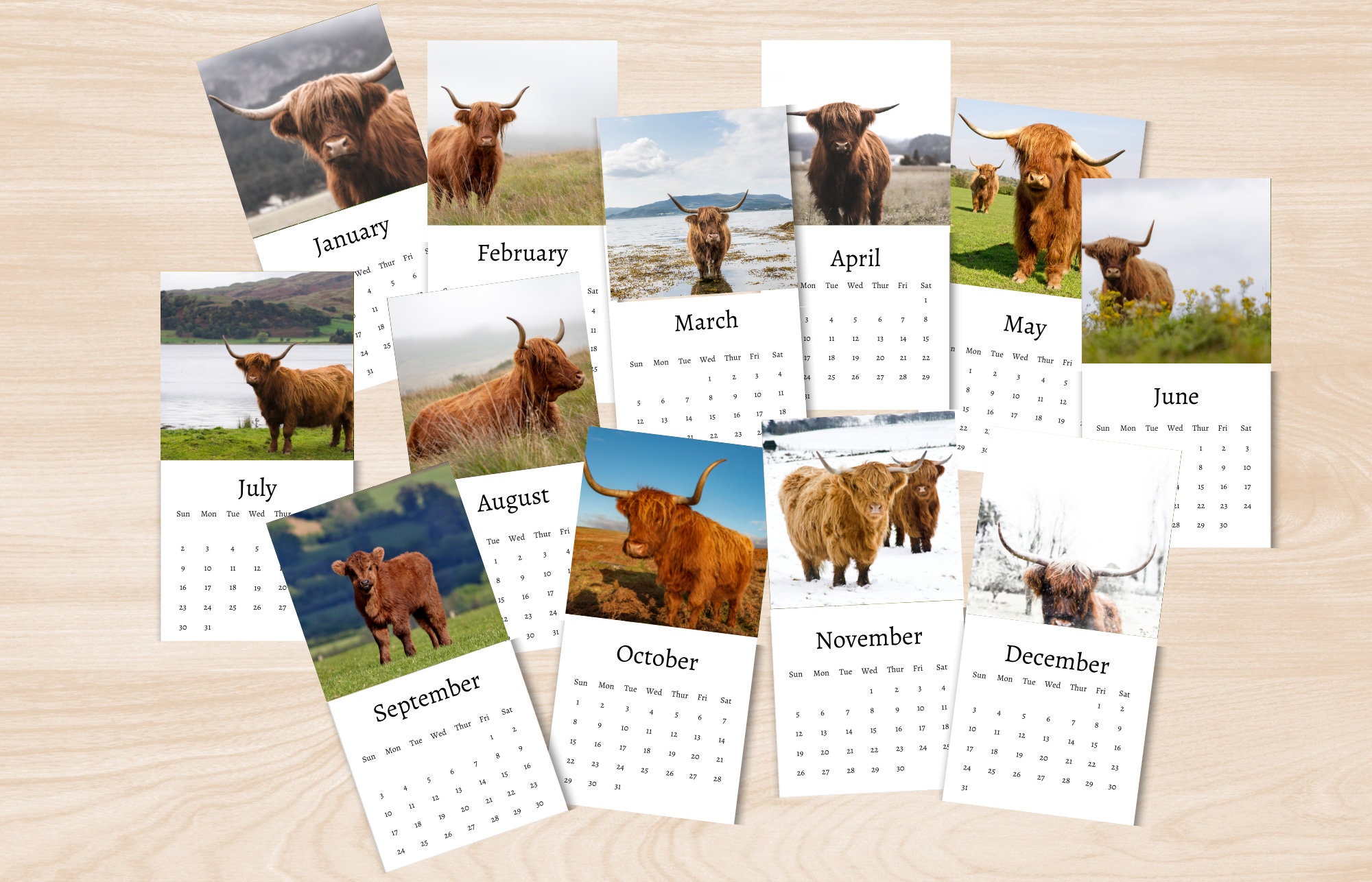 Highland Cow Calendar 2024 Mini Desk Calendar Highland Cow Etsy