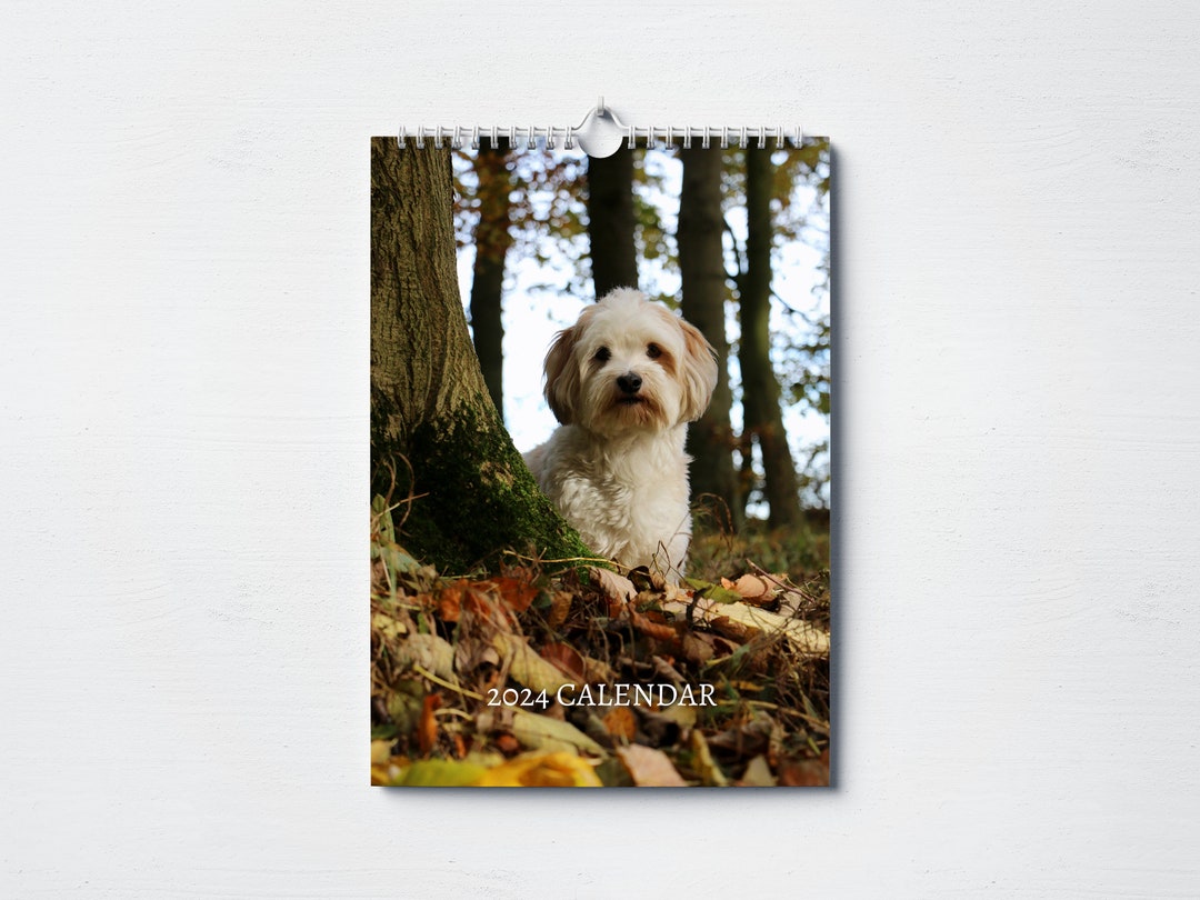 Havanese Dog Calendar 2025 Monthly Wall Calendar A4 Etsy