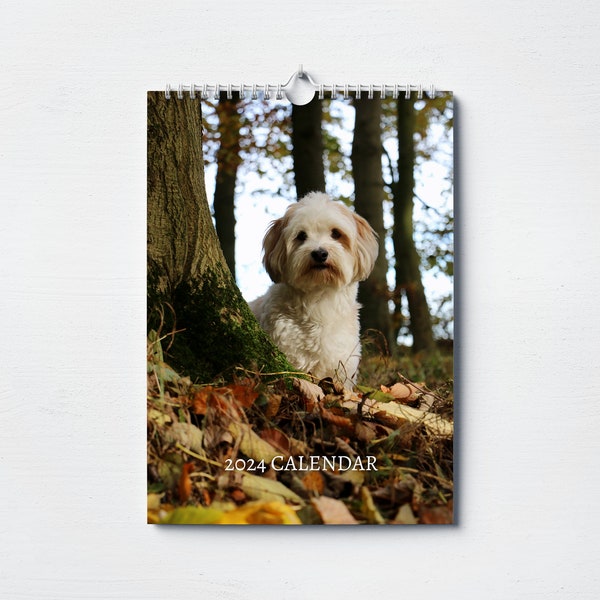 Havanese Etsy