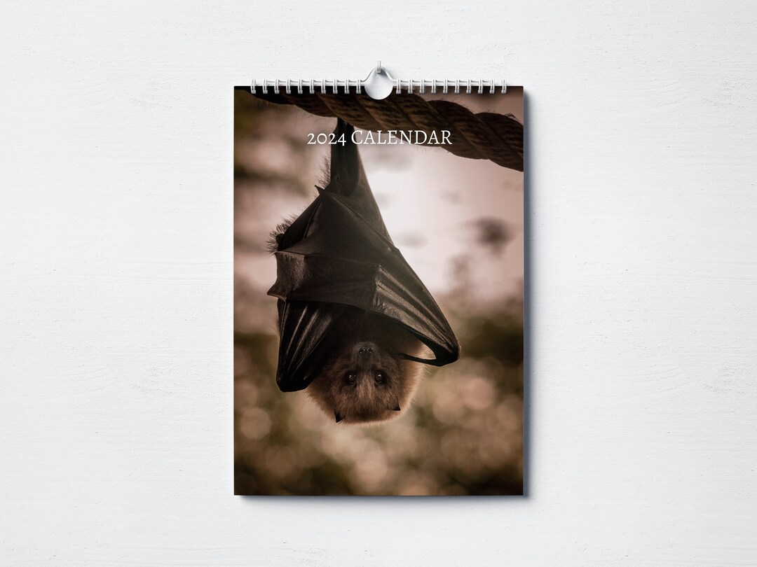 Bat Calendar 2024 Monthly Wall Calendar, A4 Size Hanging Calendar