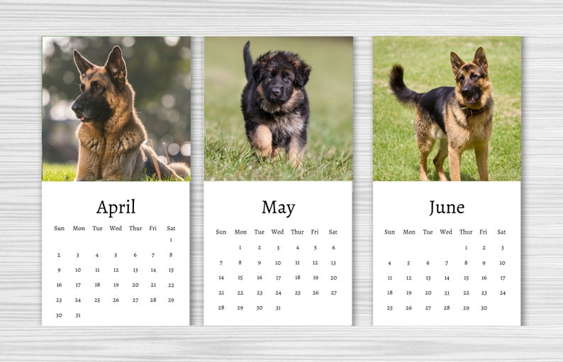 German Shepherd Calendar 2025 Mini Desk Calendar German Etsy