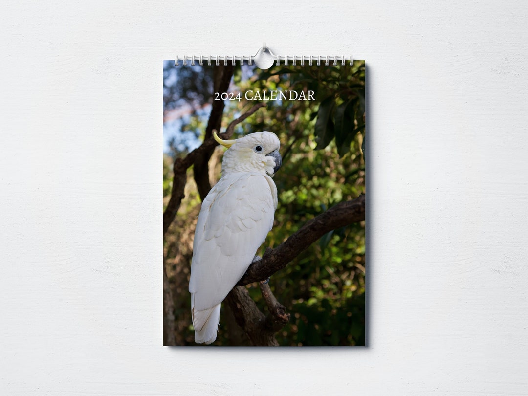 Cockatoo Calendar 2025 Monthly Wall Calendar, A4 Size Hanging Calendar