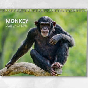 May include: A 2026 calendar featuring a chimpanzee sitting on a tree branch. The calendar has a spiral binding at the top and the word "MONKEY" and "2026 CALENDAR" printed in white on the top left corner. The background is a blurred green.