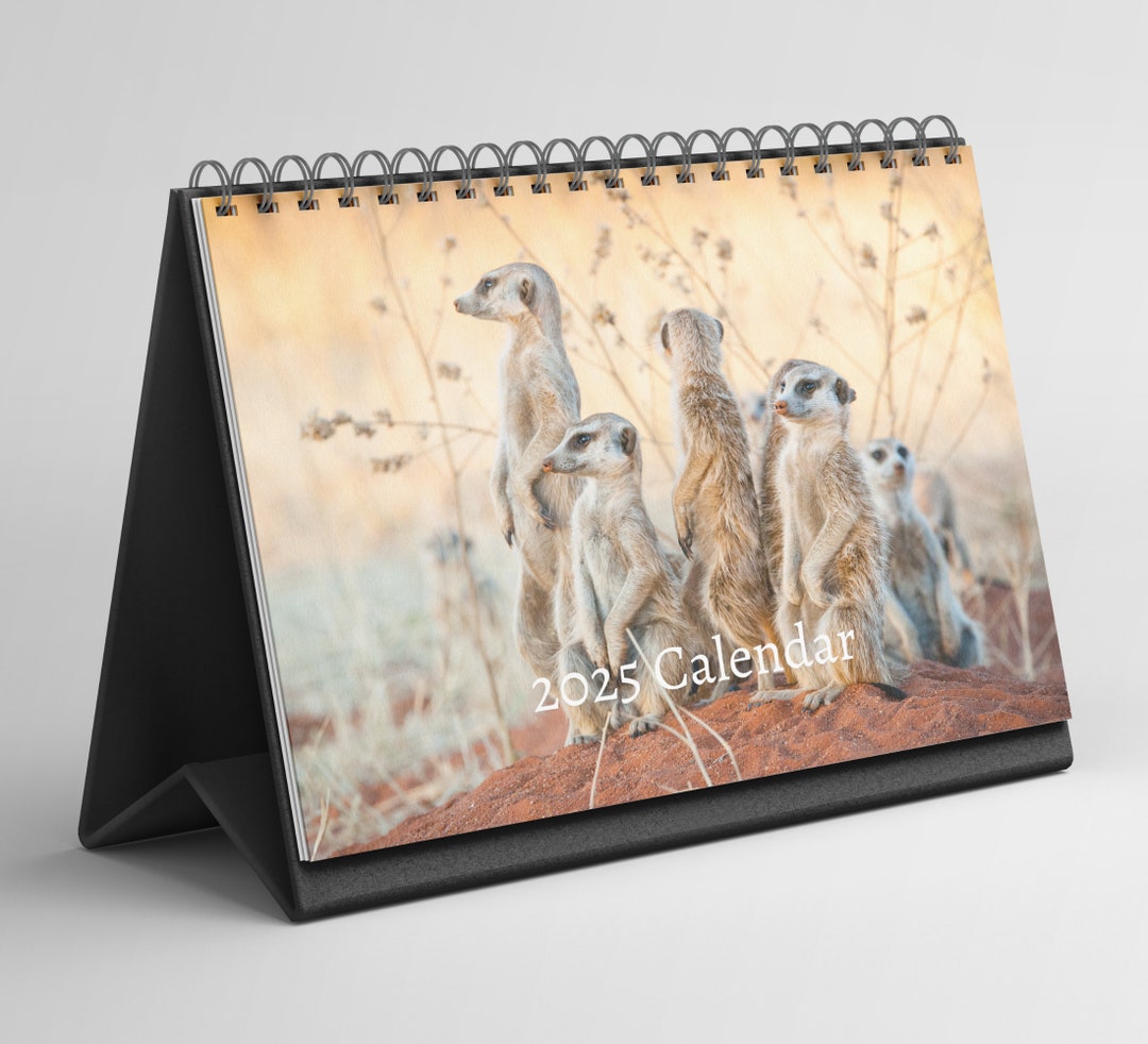 Meerkat Desk Calendar 20252026 Standing Flip Desktop Calendar With