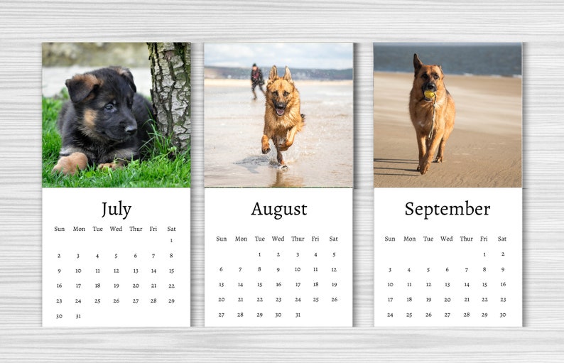 German Shepherd Calendar 2024 Mini Desk Calendar German Etsy