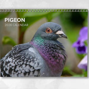 Tauben-Kalender 2026: Wandkalender, Monatskalender, mit Notizen, kann bis zum A3 Format geöffnet werden, enthält wichtige Termine & Feiertage