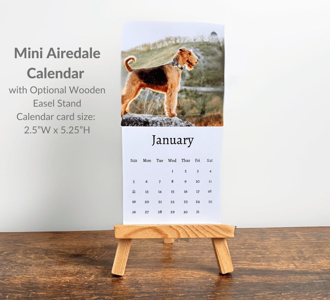 Airedale Calendar 2025 Mini Desk Calendar, Airedale Calendar 20252026