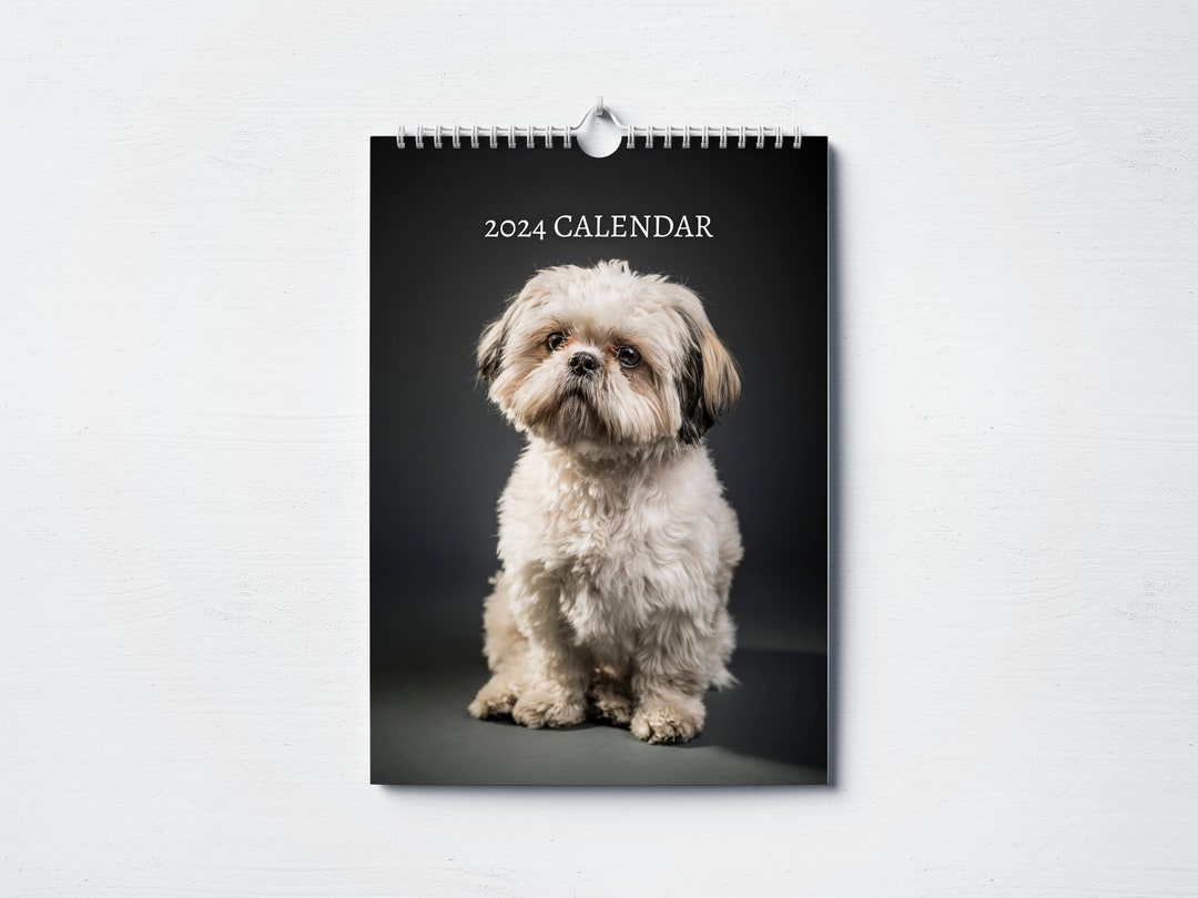 Shih Tzu Calendar 2024 Monthly Wall Calendar, A4 Hanging Calendar