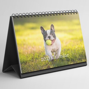 Französische Bulldogge Tischkalender 2025-2026: Stehender Klapp Tischkalender mit Dickem Papier (15,25 cm x 22 cm - ähnlich A5)