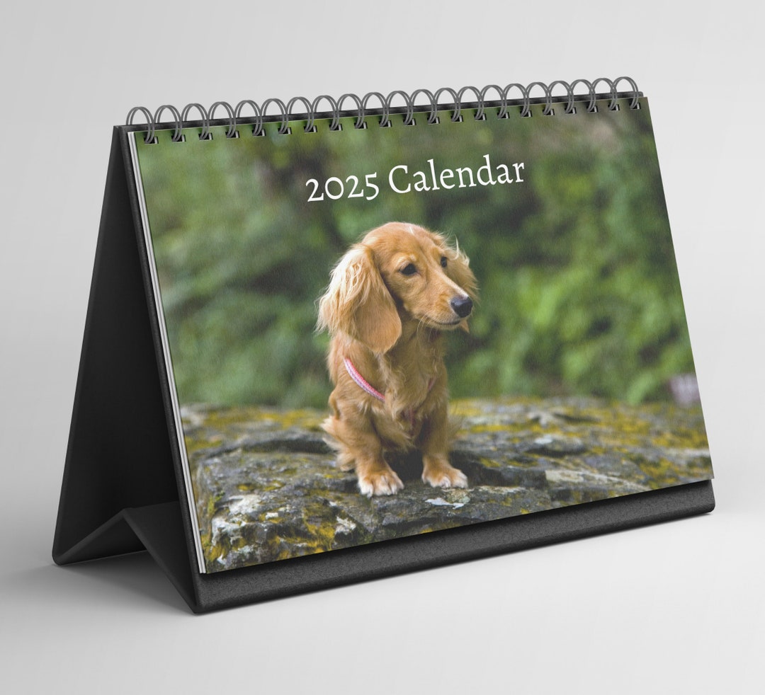 Dachshund Desk Calendar 20252026 Standing Flip Desktop Calendar With