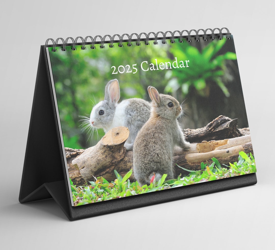 Rabbit Desk Calendar 20252026 Standing Flip Desktop Calendar With