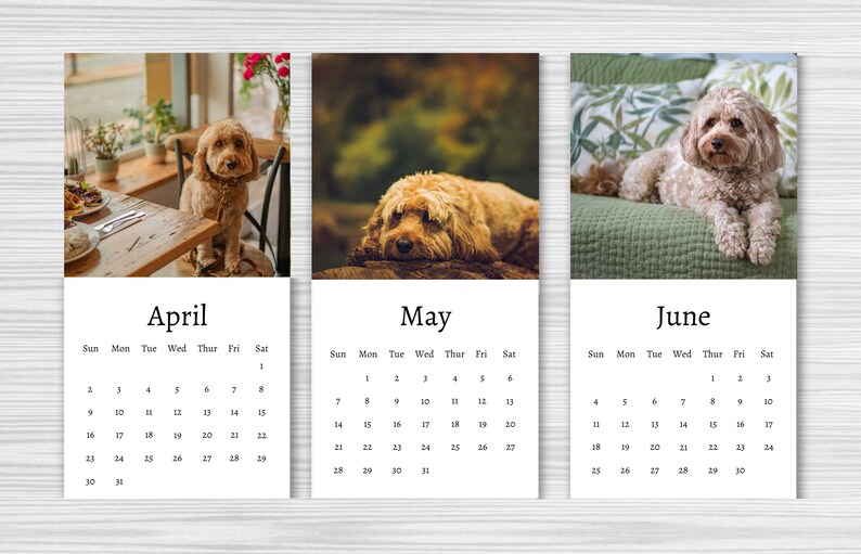 Cavapoo Calendar 2024 Mini Desk Calendar Cavapoo Calendar - Etsy Australia