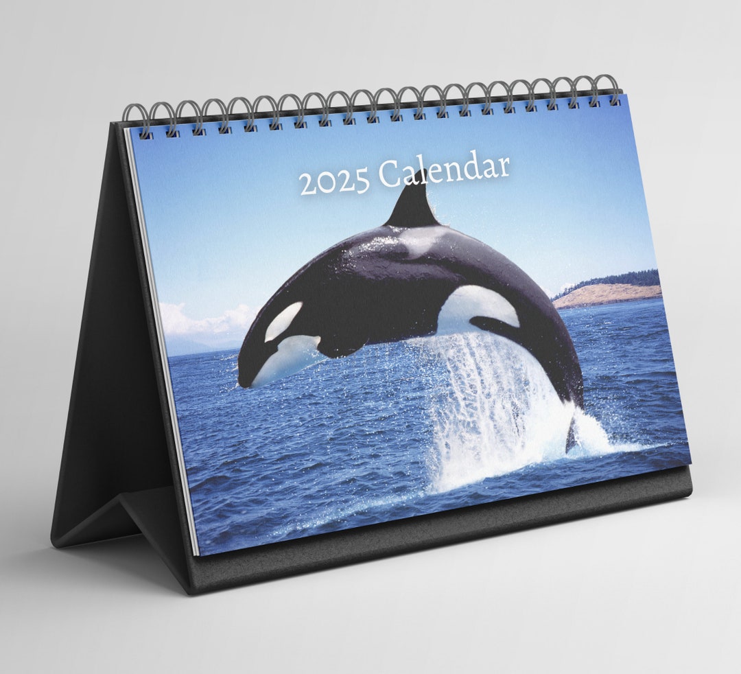 Orca Desk Calendar 20252026 Standing Flip Desktop Calendar With Thick